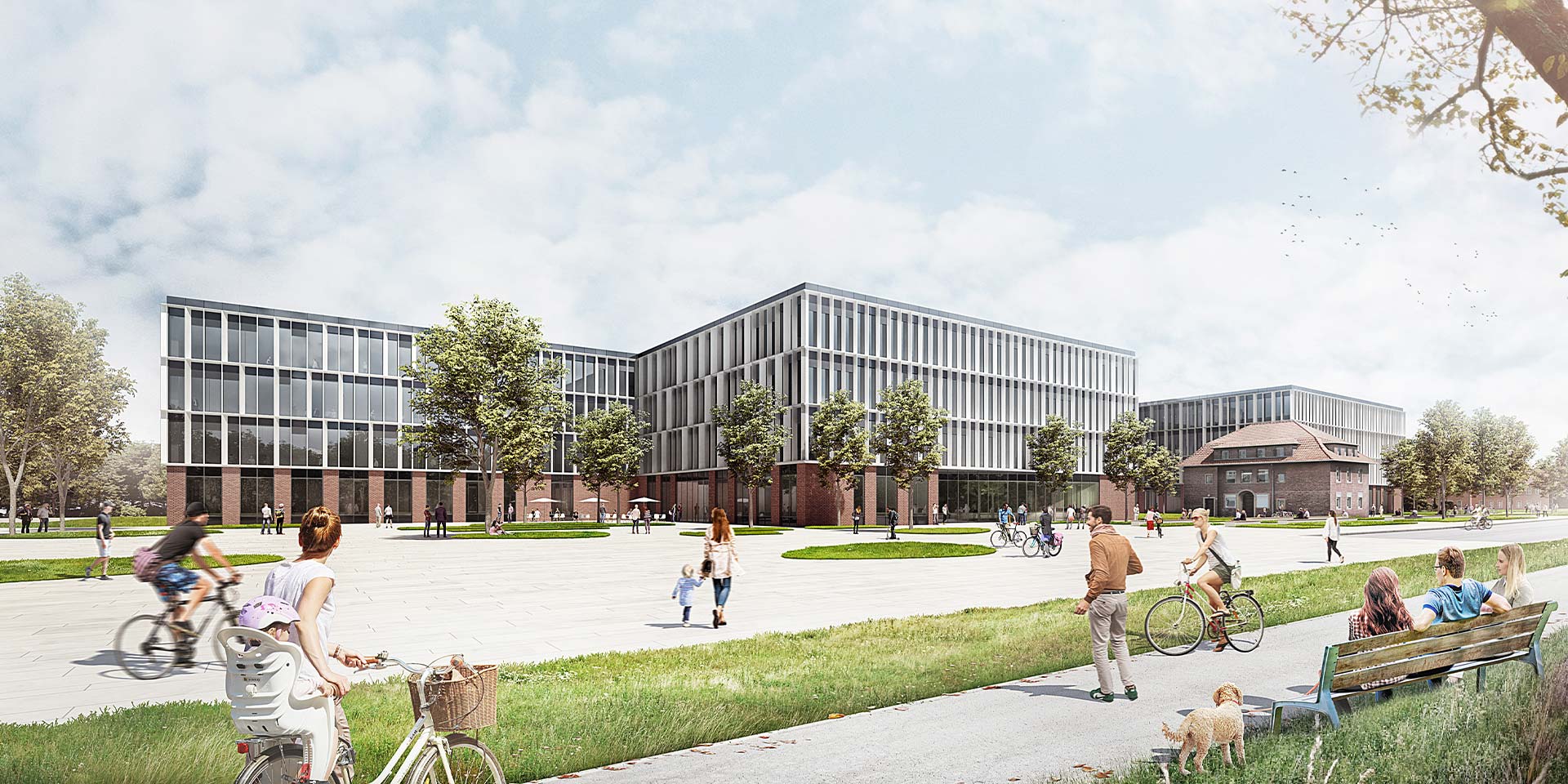 Universitätsklinikum Münster | MedForCe & BBIM