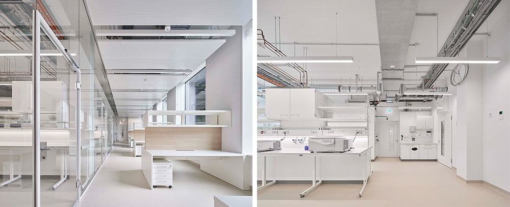 Universitätsklinikum Münster | MedForCe & BBIM