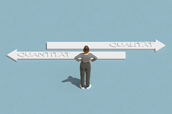 Qualitäten und Quantitäten in der Projektsteuerung